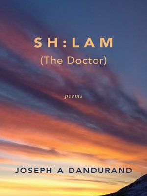 cover image of SH:LAM (The Doctor)